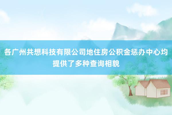 各广州共想科技有限公司地住房公积金惩办中心均提供了多种查询相貌